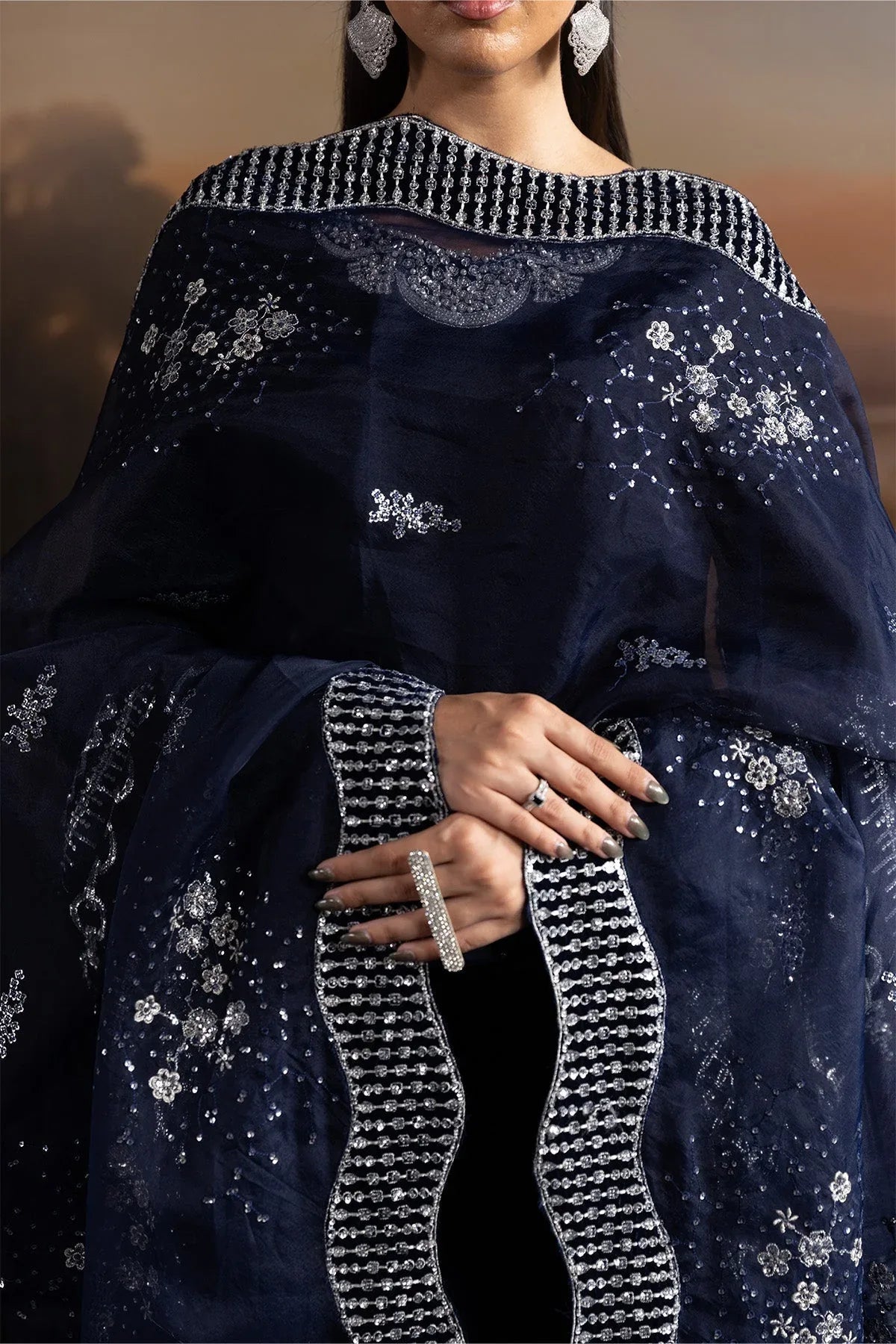 Alizeh | Lamour 25 | AF-VLT-2208-Velvetine - Rang-e-Khaas