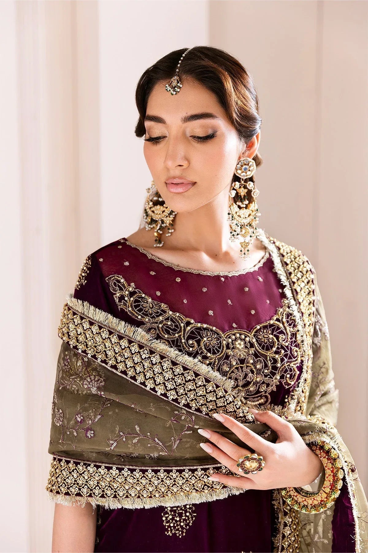 Alizeh | Makhmal Luxury Velvet Edit | Zarlish - Rang-e-Khaas
