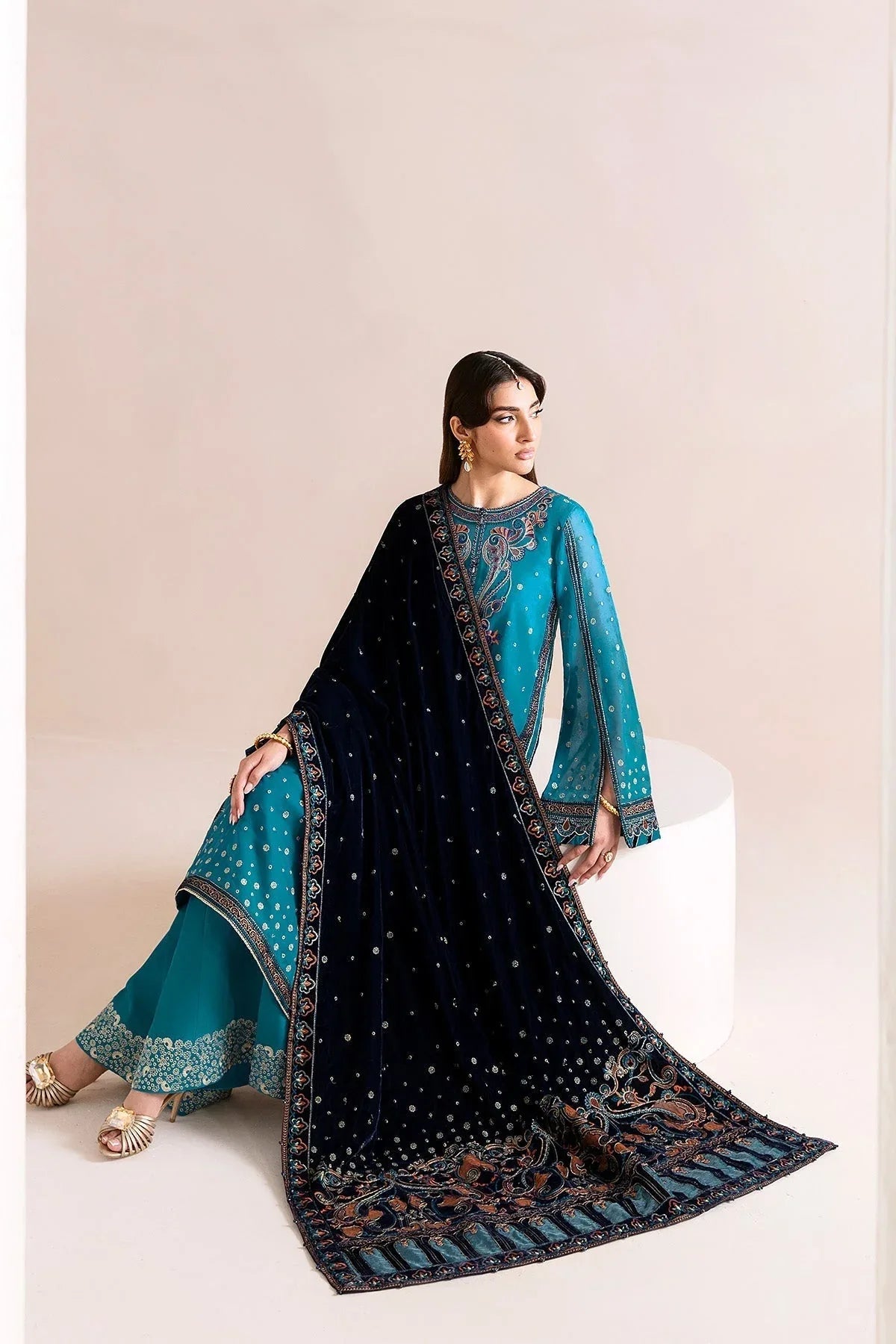 Alizeh | Makhmal Luxury Velvet Edit | Nelofer - Rang-e-Khaas