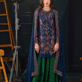 Asim Jofa | Lumiere Formals | AJLFC-07 EMBROIDERED NET