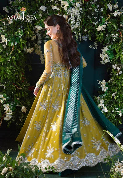 Asim Jofa | Lumiere Formals | AJLFC-10 EMBROIDERED NET - Rang-e-Khaas