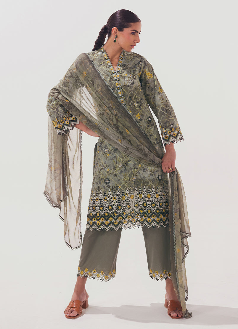 Image | Spring Basics 25 | IMPRSS-213961-12543