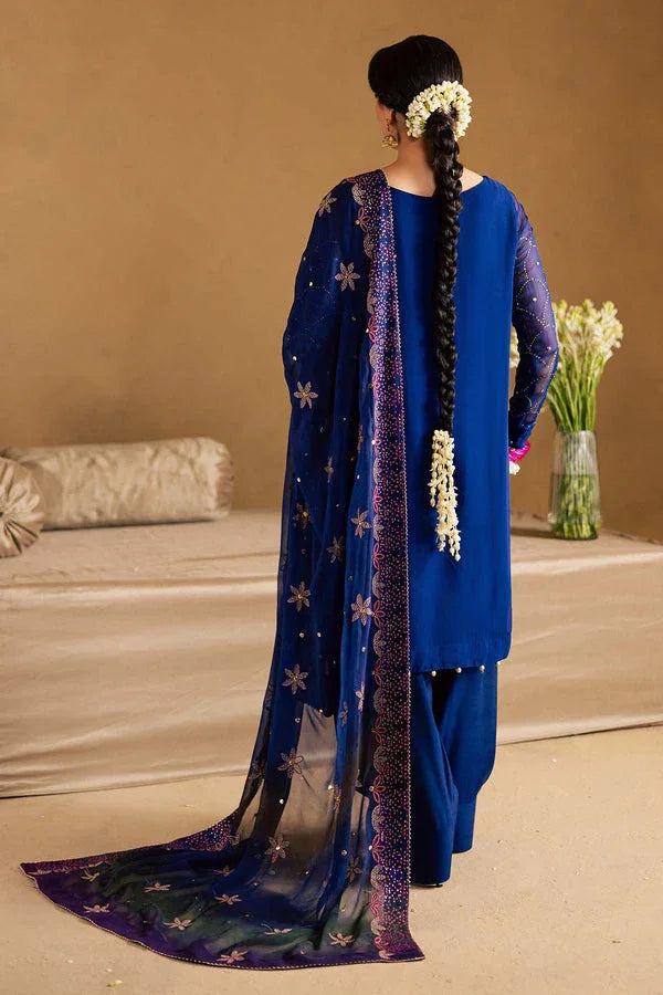Nureh | Mukeshkari Luxe | MK-15 - Rang-e-Khaas