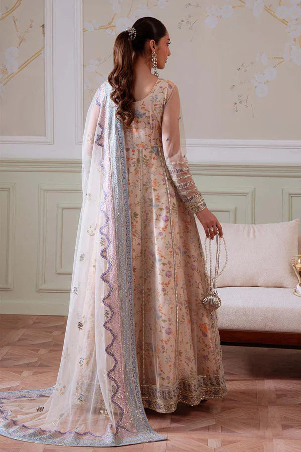 Nureh | Elanora Formals | NEL-80 - Rang-e-Khaas