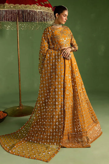 Nureh | Wedding Formals 24 |  FP-127 - Rang-e-Khaas