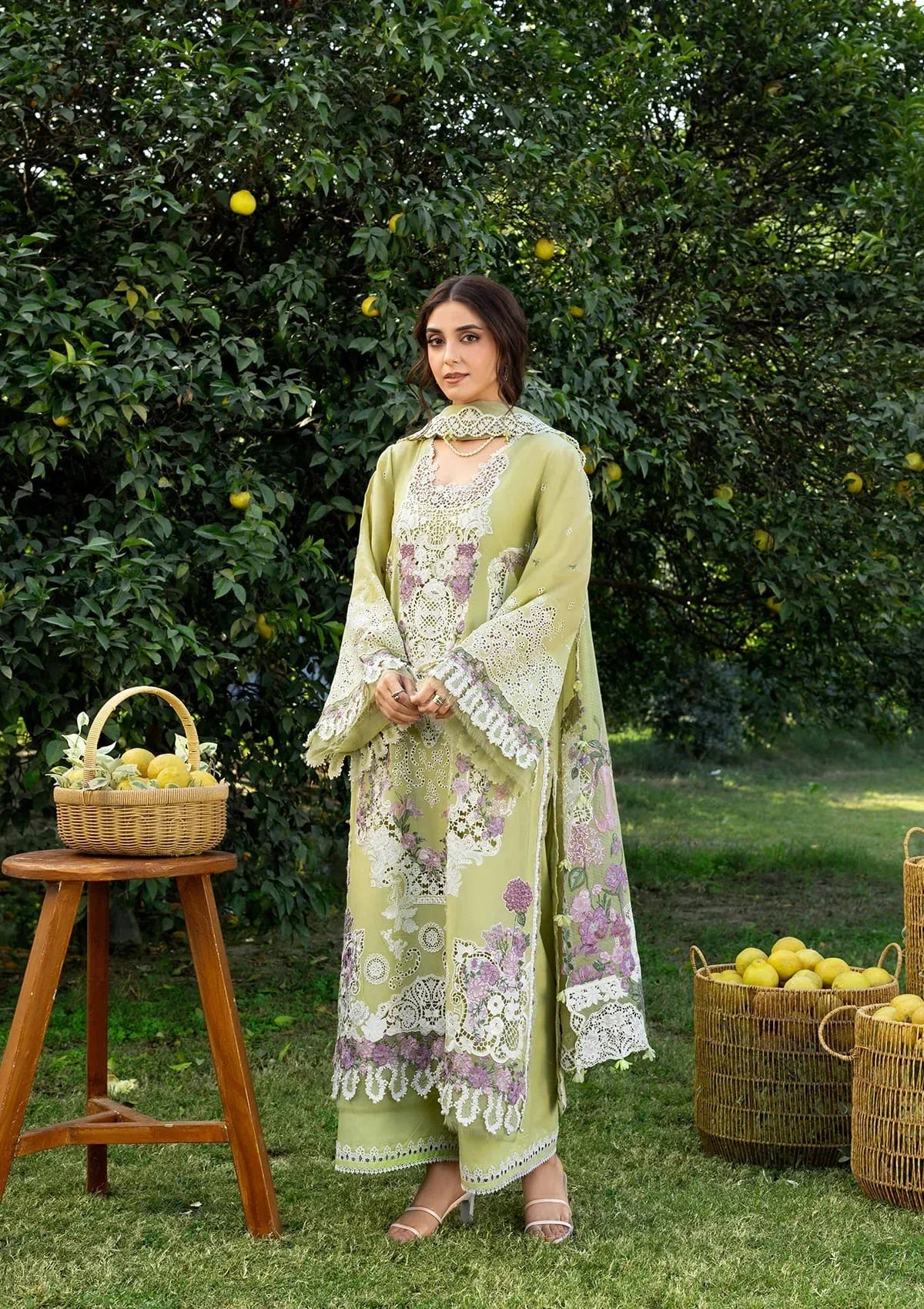 ELY-08 PISTACHIA - Rang-e-Khaas