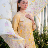 Aabyaan | Shezlin Chikankari Ramadan Edit 25 | NISA (AR-02)