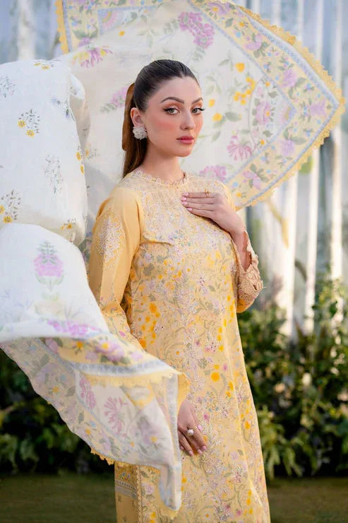 Aabyaan | Shezlin Chikankari Ramadan Edit 25 | NISA (AR-02) - Rang-e-Khaas