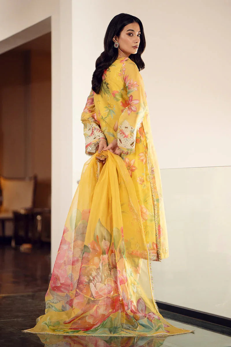 Baroque | Luxury Pret 24 | COTTON PATTI UF-509 - Rang-e-Khaas