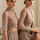 Iznik | Chinnon Chiffon | CC-43 Embroidered Net