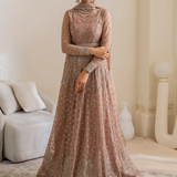 Iznik | Chinnon Chiffon | CC-43 Embroidered Net