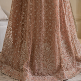 Iznik | Chinnon Chiffon | CC-43 Embroidered Net