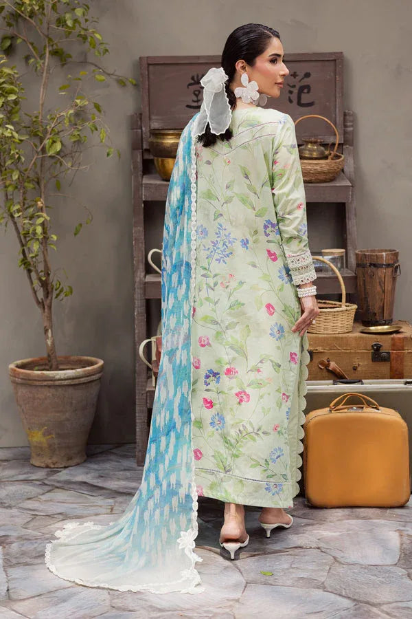 Nureh | Amaya Formals | DD-15 - Rang-e-Khaas