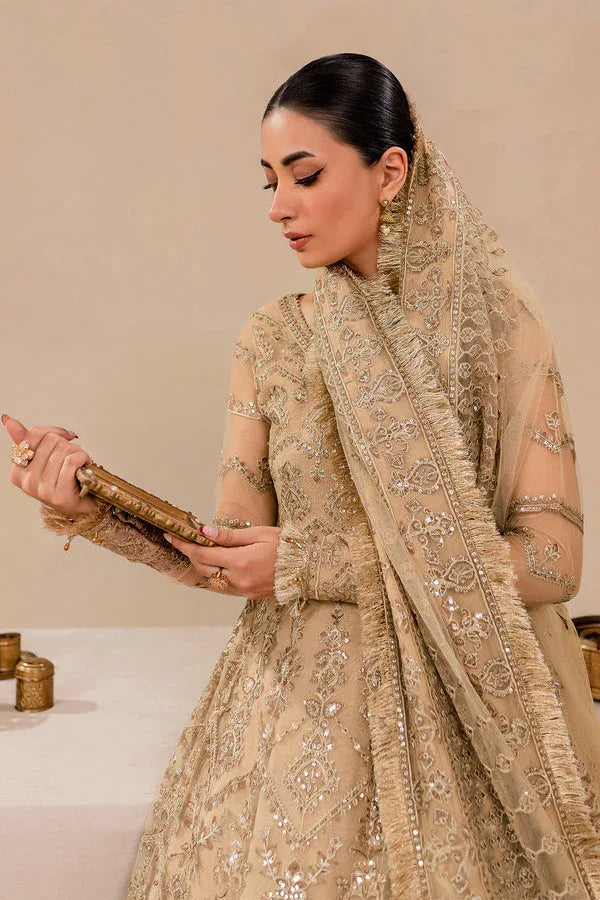 Farasha | Lumiere Formals | DREAMT FLAIR - Rang-e-Khaas