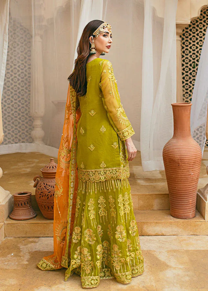 Daud Abbas | Formals Collection | Henna - Rang-e-Khaas