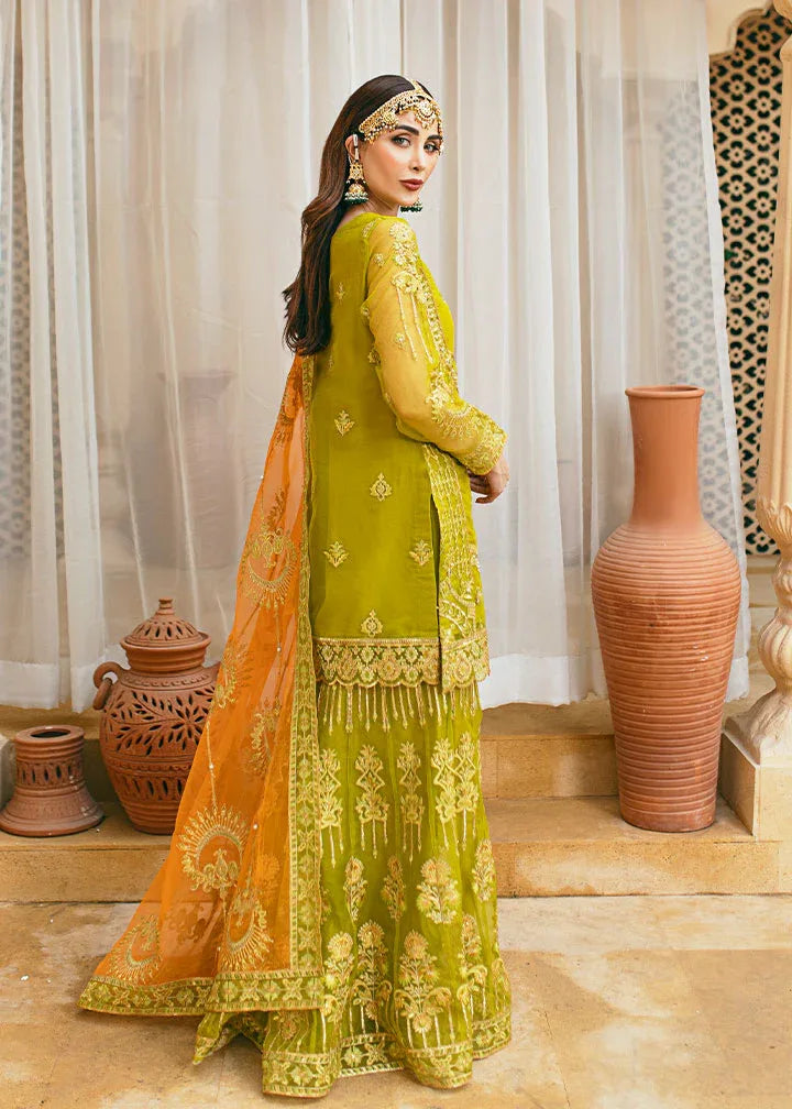 Daud Abbas | Formals Collection | Henna - Rang-e-Khaas