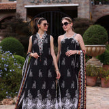 Noor by Saadia Asad | Eid Luxe Printkari 24 | D6