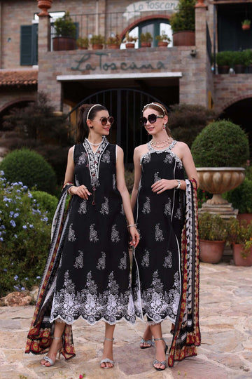 Noor by Saadia Asad | Eid Luxe Printkari 24 | D6 - Rang-e-Khaas