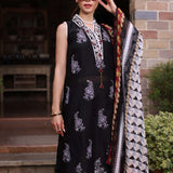 Noor by Saadia Asad | Eid Luxe Printkari 24 | D6