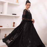 Noor by Saadia Asad | Noor Chiffon De Luxe | D4
