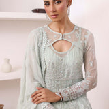 Noor by Saadia Asad | Noor Chiffon De Luxe | D8