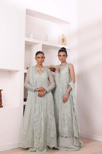 Noor by Saadia Asad | Noor Chiffon De Luxe | D8 - Rang-e-Khaas