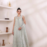 Noor by Saadia Asad | Noor Chiffon De Luxe | D8