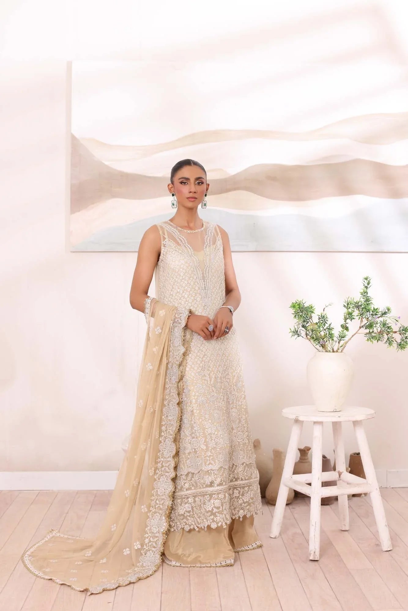 Noor by Saadia Asad | Noor Chiffon De Luxe | D1 - Rang-e-Khaas
