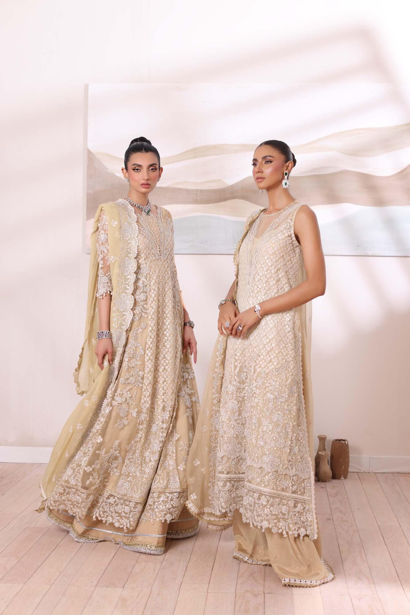 Noor by Saadia Asad | Noor Chiffon De Luxe | D1 - Rang-e-Khaas