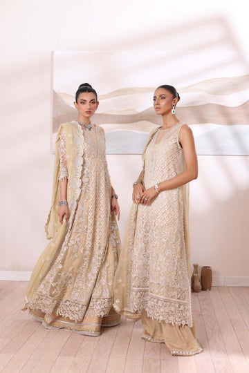 Noor by Saadia Asad | Noor Chiffon De Luxe | D1 - Rang-e-Khaas