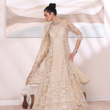 Noor by Saadia Asad | Noor Chiffon De Luxe | D1