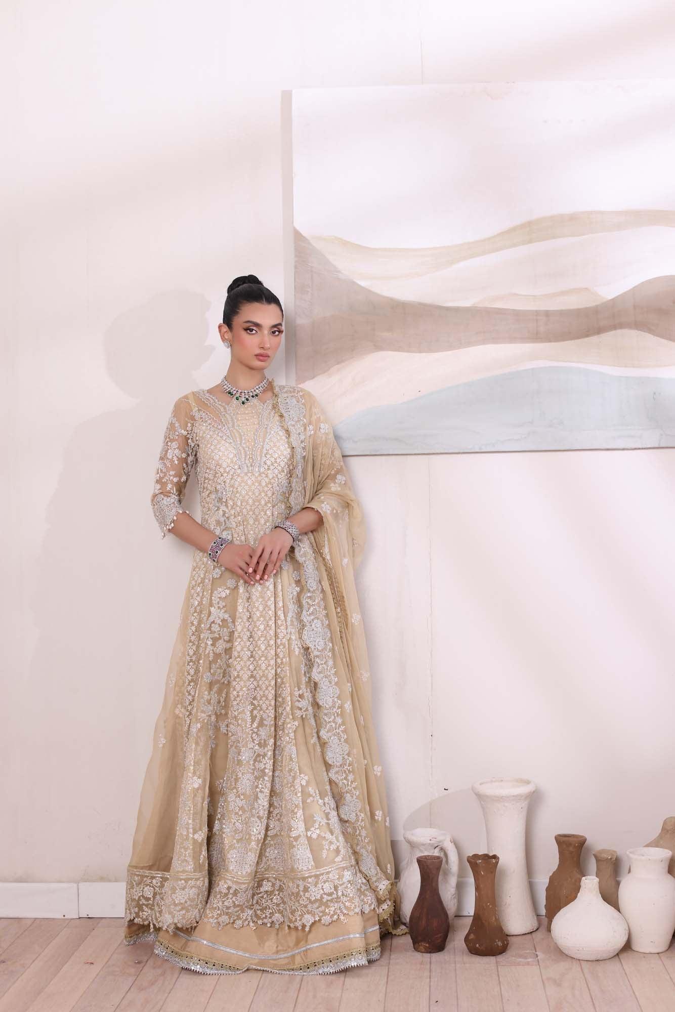 Noor by Saadia Asad | Noor Chiffon De Luxe | D1 - Rang-e-Khaas