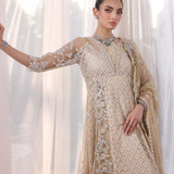 Noor by Saadia Asad | Noor Chiffon De Luxe | D1