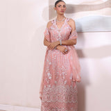 Noor by Saadia Asad | Noor Chiffon De Luxe | D6