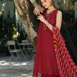Noor by Saadia Asad | Eid Luxe Printedkari | D3-B