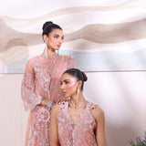 Noor by Saadia Asad | Noor Chiffon De Luxe | D6