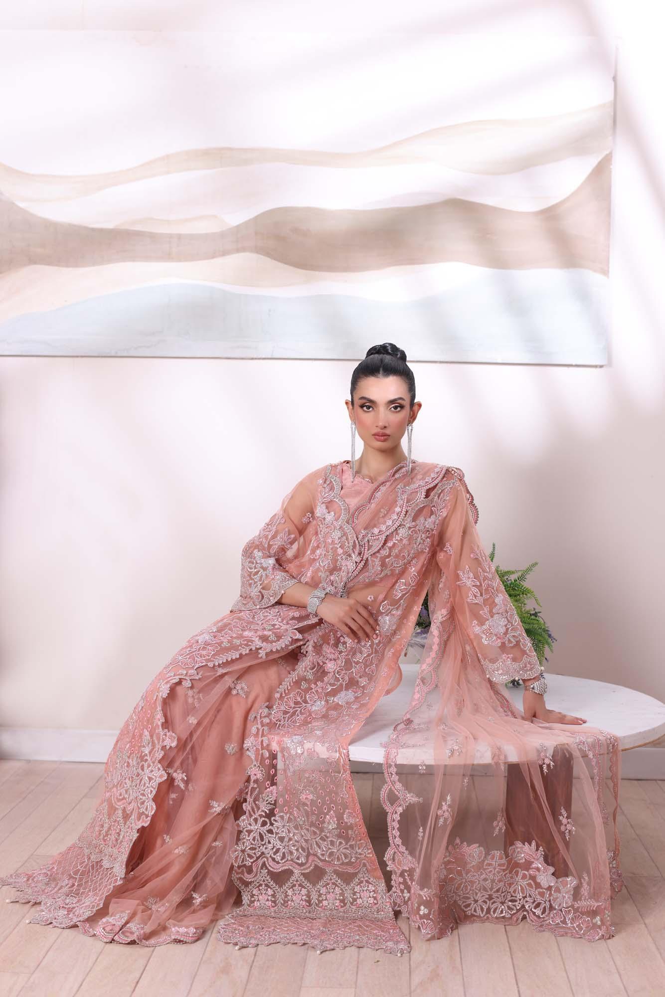 Noor by Saadia Asad | Noor Chiffon De Luxe | D6 - Rang-e-Khaas