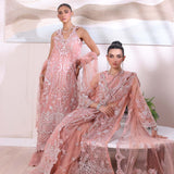 Noor by Saadia Asad | Noor Chiffon De Luxe | D6