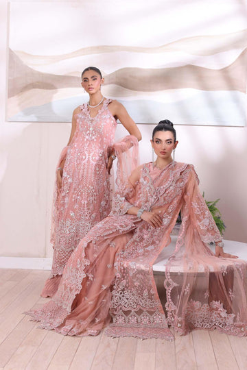 Noor by Saadia Asad | Noor Chiffon De Luxe | D6 - Rang-e-Khaas