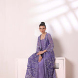 Noor by Saadia Asad | Noor Chiffon De Luxe | D2