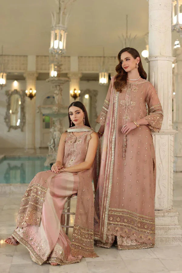 Noor by Saadia Asad | Festive 25 | D4 - Tea Pink - Rang-e-Khaas