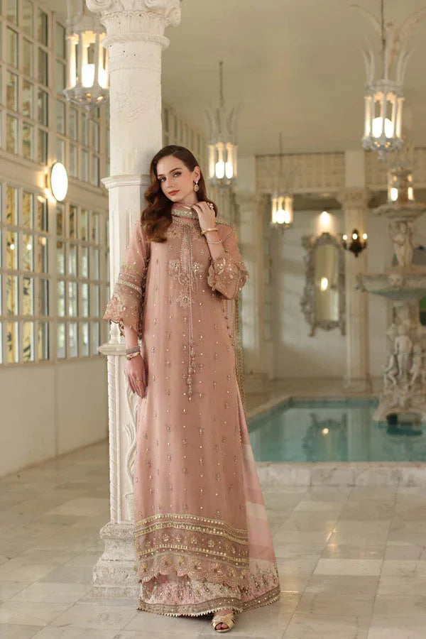 Noor by Saadia Asad | Festive 25 | D4 - Tea Pink - Rang-e-Khaas