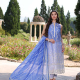 Noor by Saadia Asad | Eid Luxe Printkari 24 | D8
