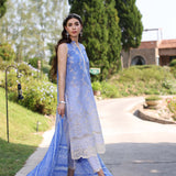 Noor by Saadia Asad | Eid Luxe Printkari 24 | D8