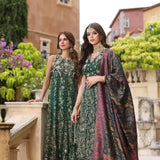 Noor by Saadia Asad | Kaani Wedding Formals 23 | D1