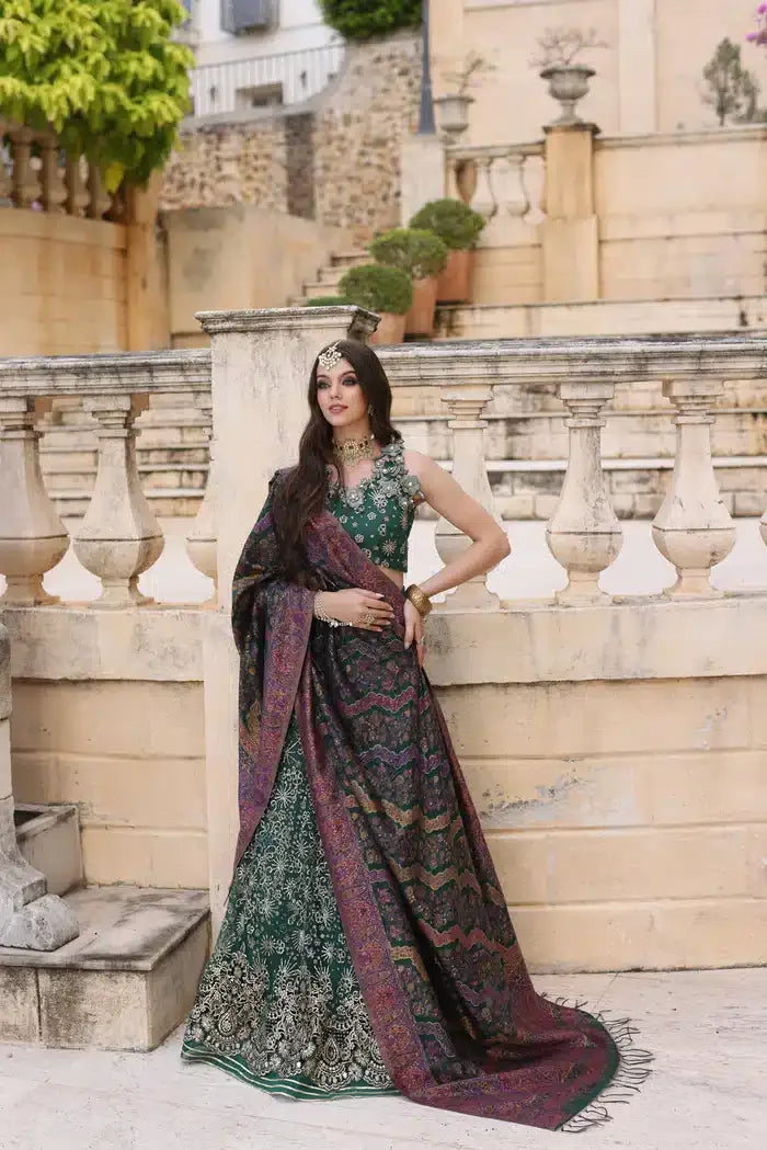 Noor by Saadia Asad | Kaani Wedding Formals 23 | D1 - Rang-e-Khaas