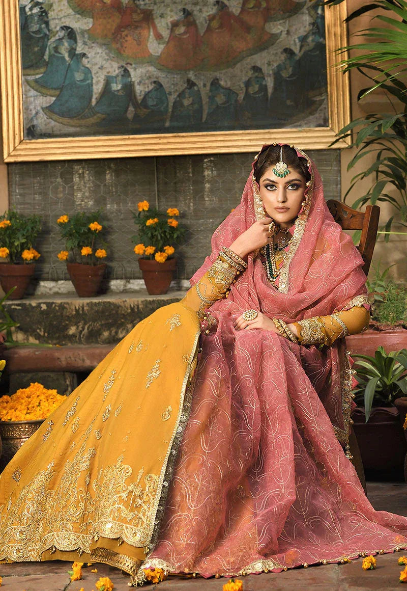 Asim Jofa | Luxury Collection | AJR-09 Rasm - Rang-e-Khaas