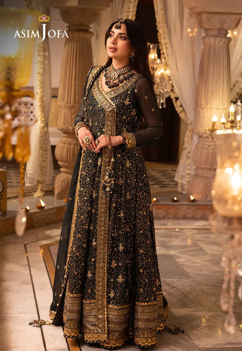 Shehnai by Asim Jofa Embroidered Net 3Pc Suit AJSH-05 - Rang-e-Khaas