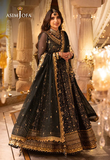 Shehnai by Asim Jofa Embroidered Net 3Pc Suit AJSH-05 - Rang-e-Khaas