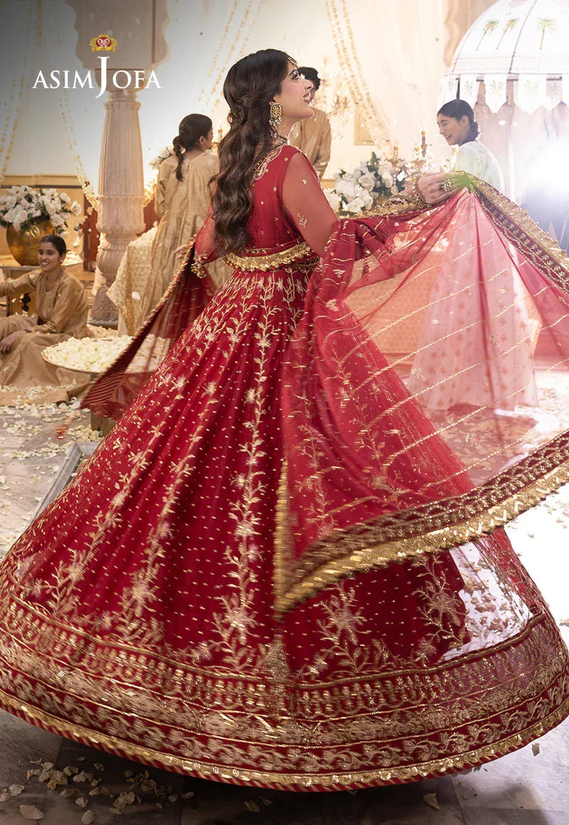 Shehnai by Asim Jofa Embroidered Net  3Pc Suit AJSH-06 - Rang-e-Khaas